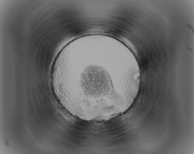 X0000091241435200709061530