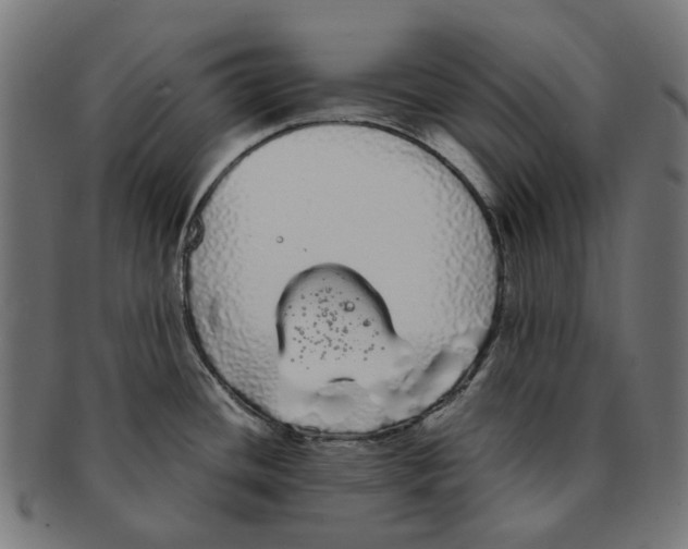 X0000091241436200709061530