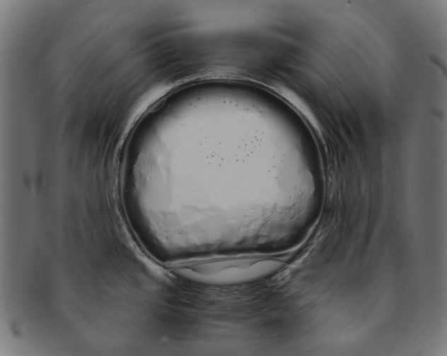 X0000091241437200709061530