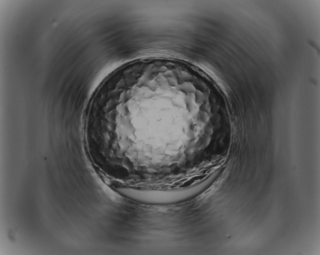 X0000091241438200709061530