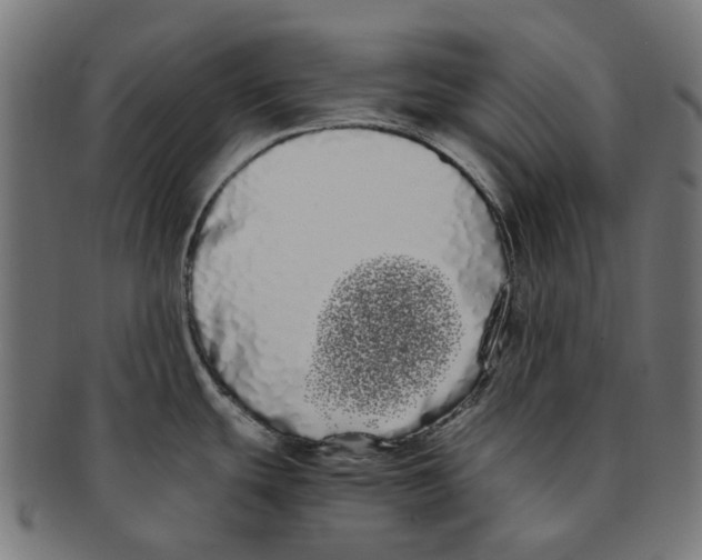 X0000091241439200709061530