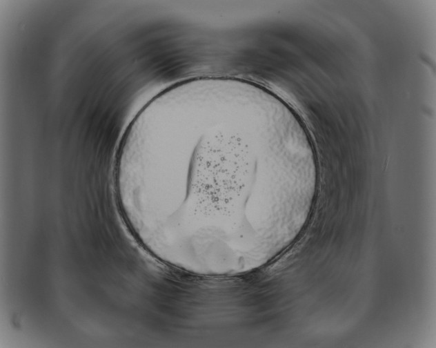 X0000091241440200709061530