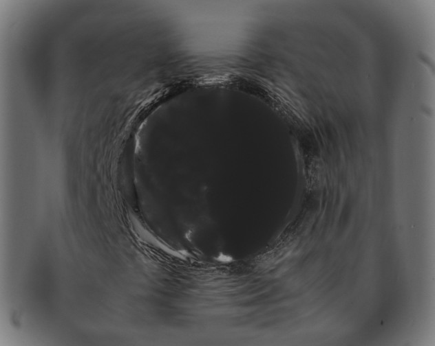 X0000091241441200709061530