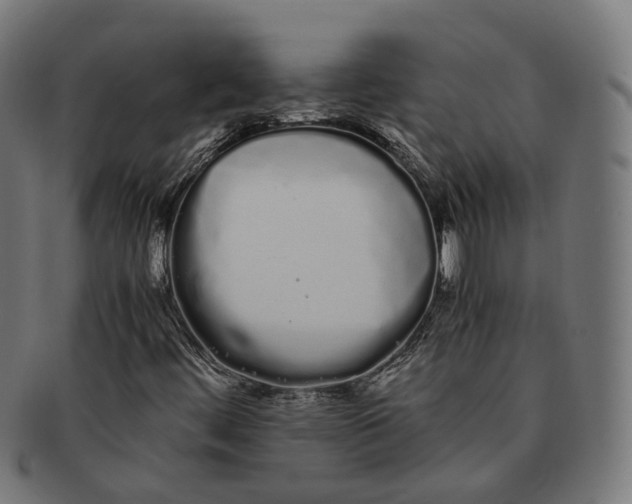 X0000091241444200709061530