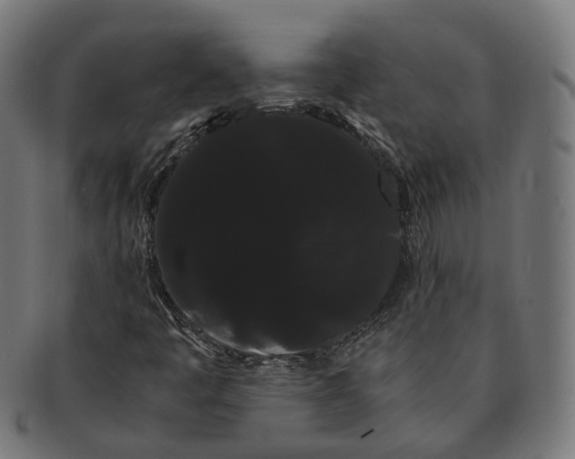 X0000091241445200709061530