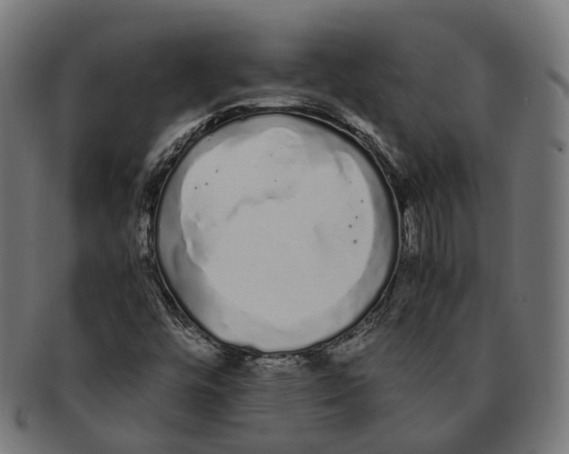 X0000091241448200709061530