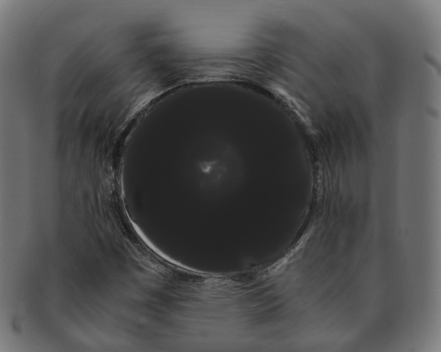 X0000091241449200709061530