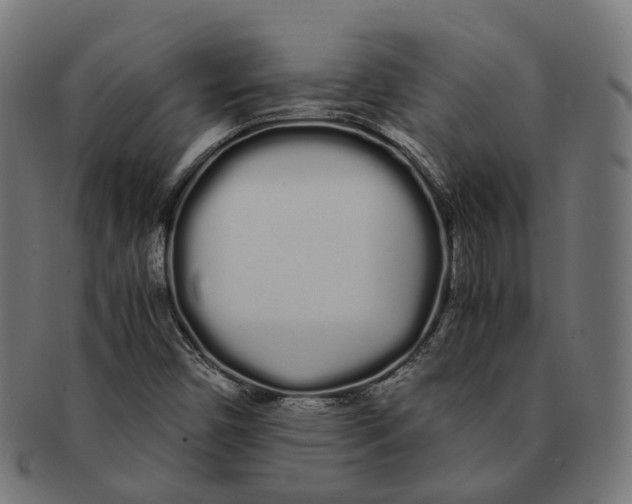 X0000091241450200709061530