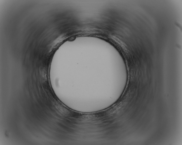 X0000091241451200709061530