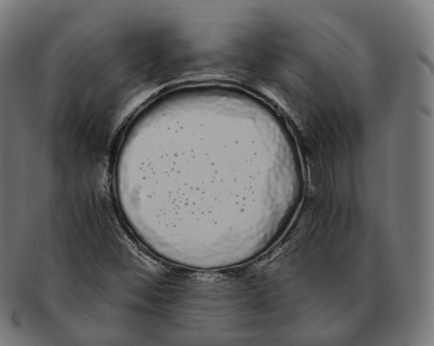 X0000091241452200709061530