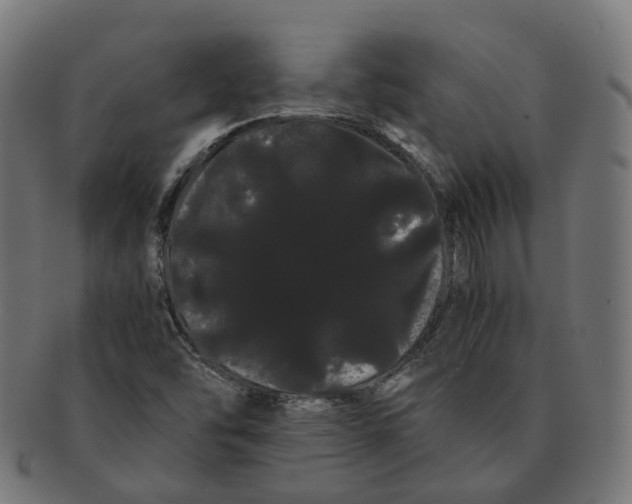 X0000091241454200709061530