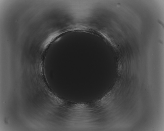 X0000091241455200709061530