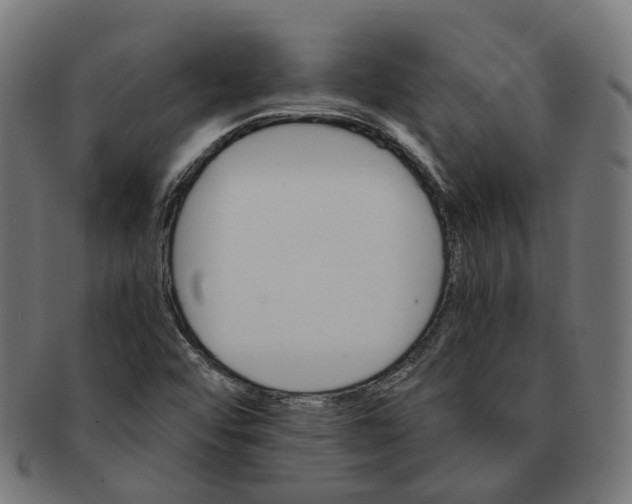 X0000091241456200709061530