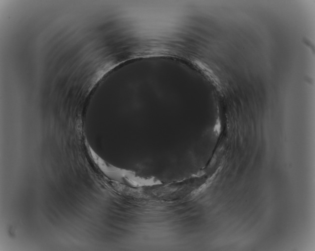 X0000091241457200709061530