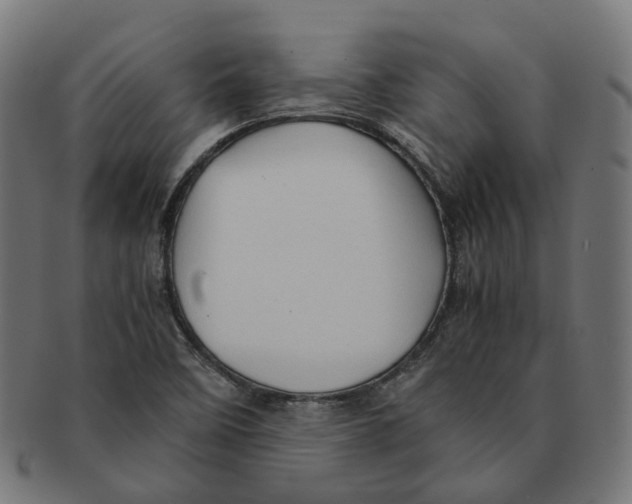 X0000091241458200709061530