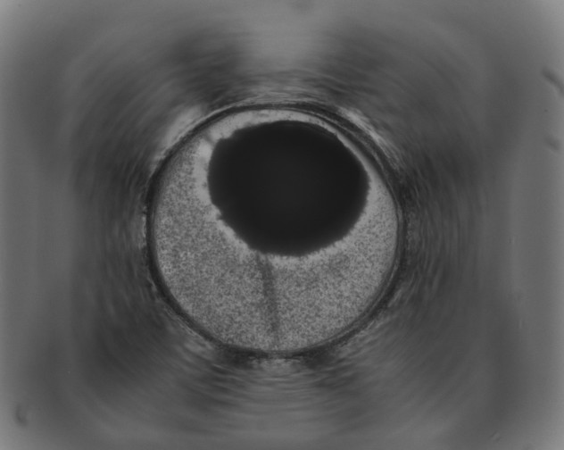 X0000091241459200709061530