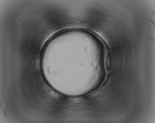 X0000091241460200709061530