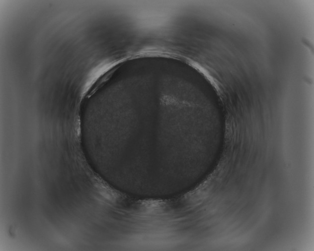 X0000091241461200709061530