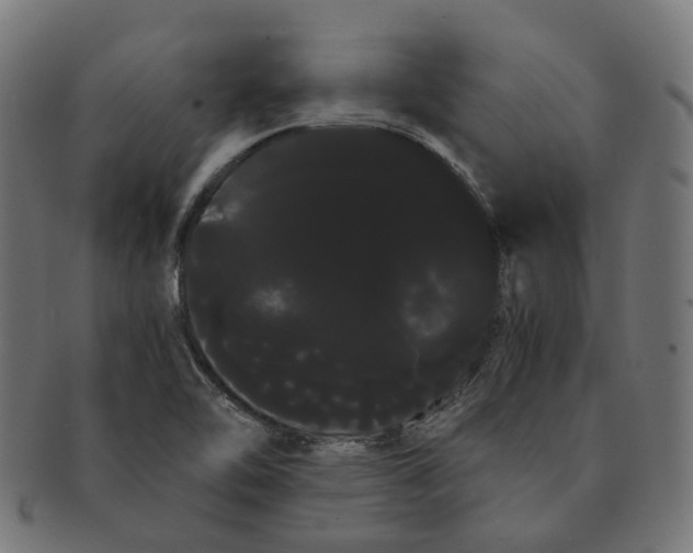 X0000091241462200709061530