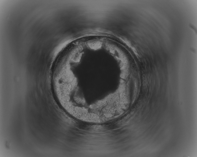 X0000091241463200709061530