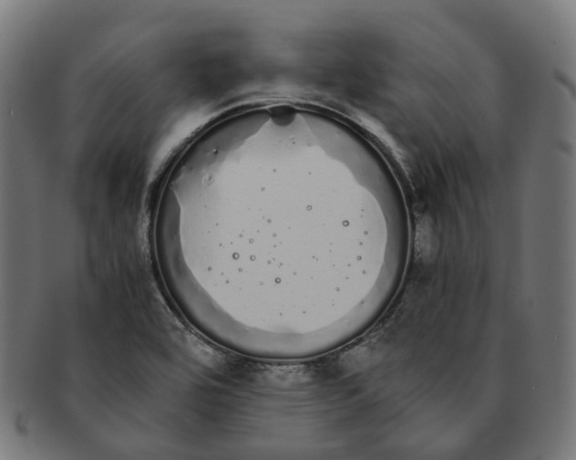 X0000091241464200709061530