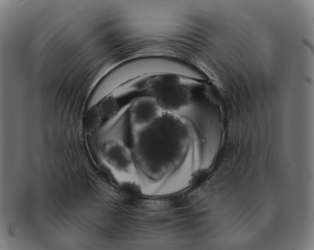 X0000091241465200709061530