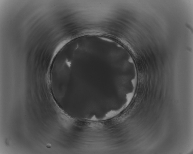 X0000091241466200709061530