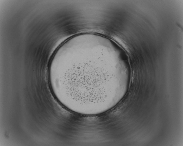 X0000091241468200709061530