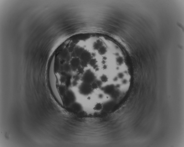 X0000091241469200709061530