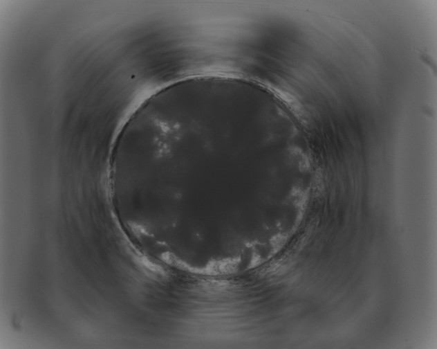 X0000091241470200709061530