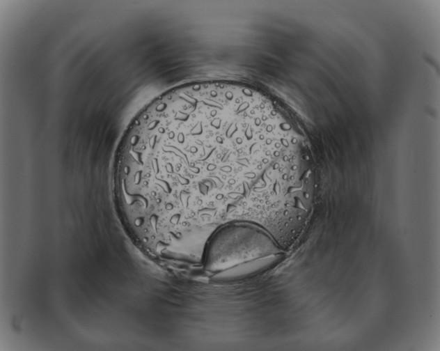 X0000091241471200709061530