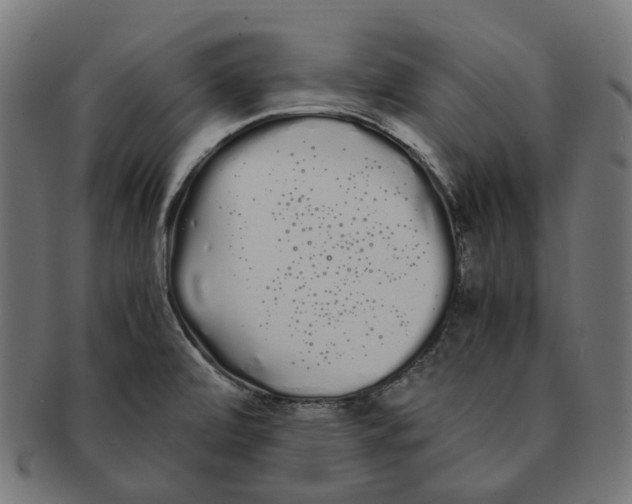 X0000091241472200709061530