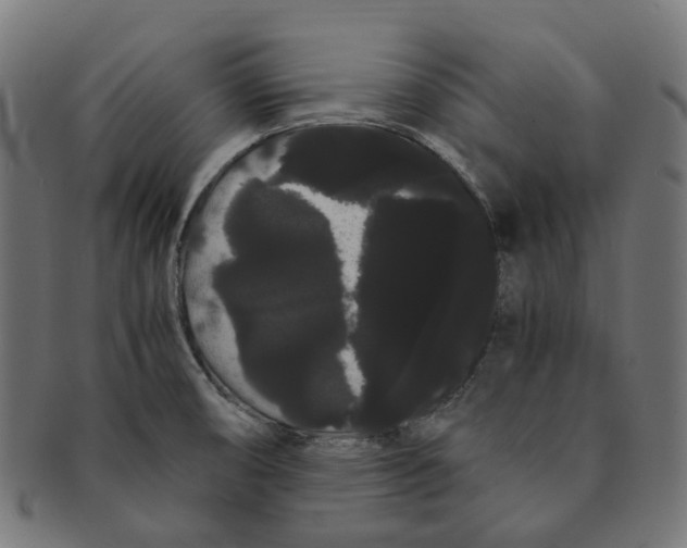 X0000091241474200709061530