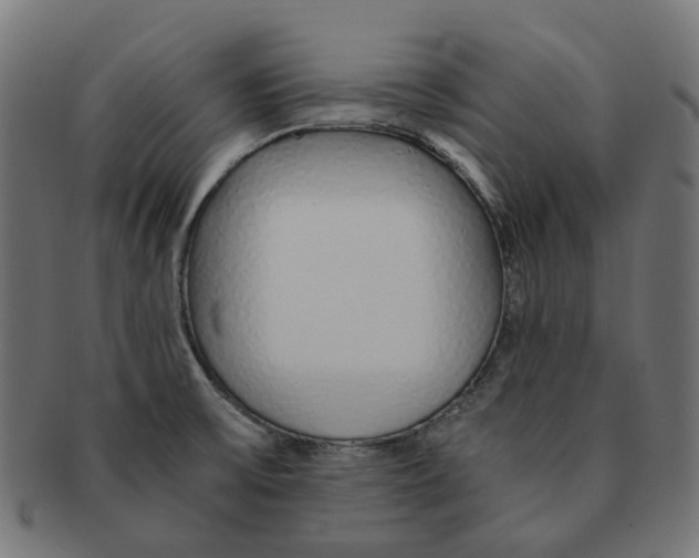 X0000091241475200709061530