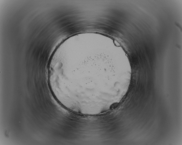 X0000091241476200709061530