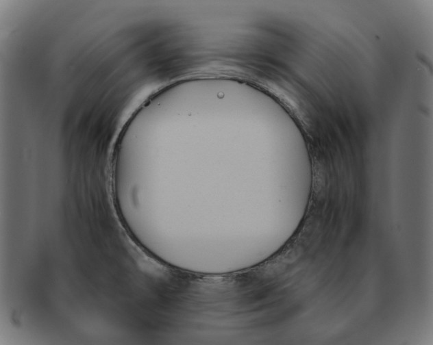 X0000091241478200709061529