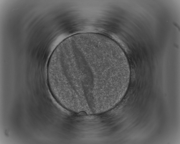 X0000091241479200709061529