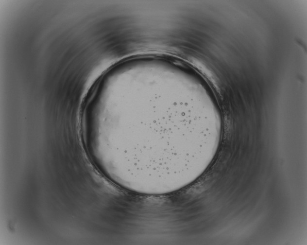 X0000091241480200709061529