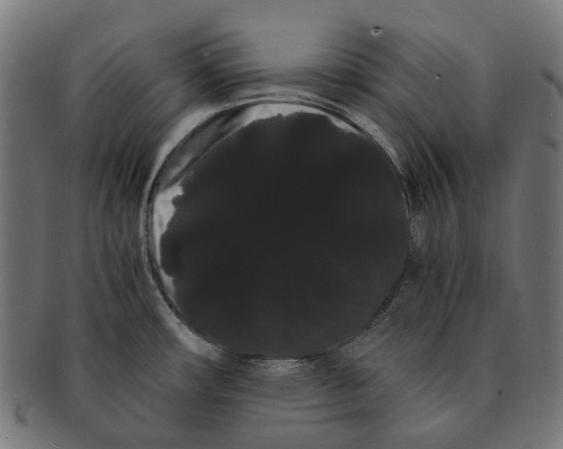 X0000091241482200709061529