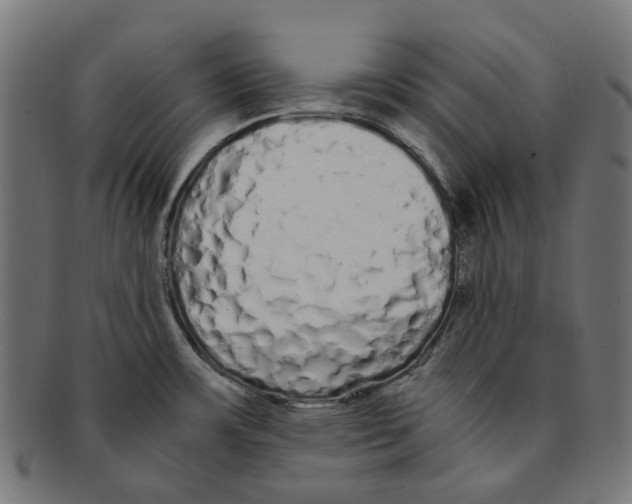 X0000091241483200709061529