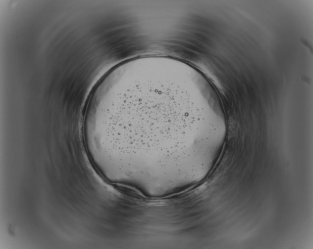 X0000091241484200709061529