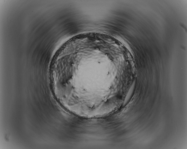 X0000091241485200709061529