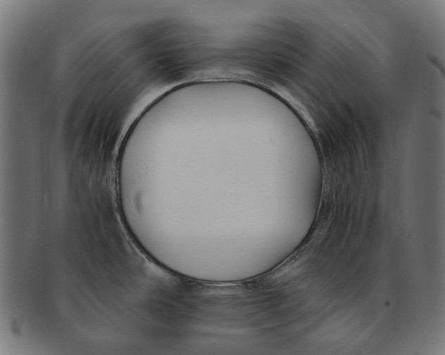 X0000091241486200709061529