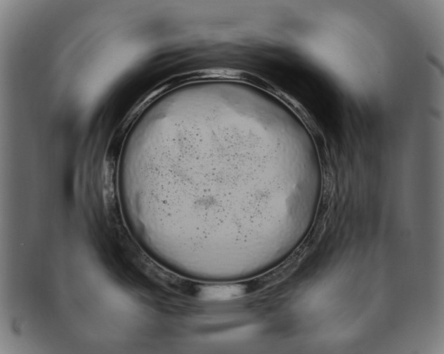 X0000091241487200709061529