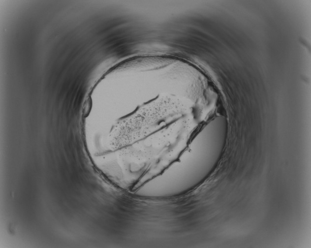 X0000091241488200709061529