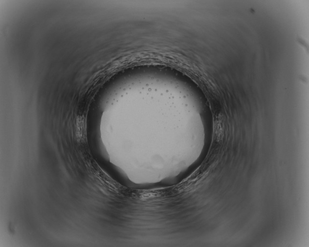 X0000091241490200709061529