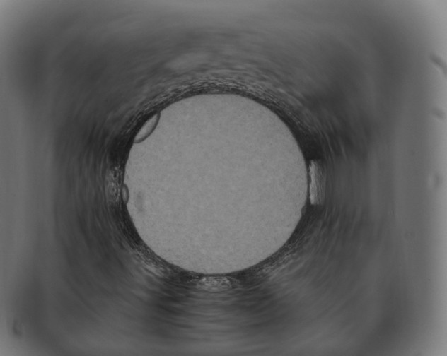 X0000091241491200709061529