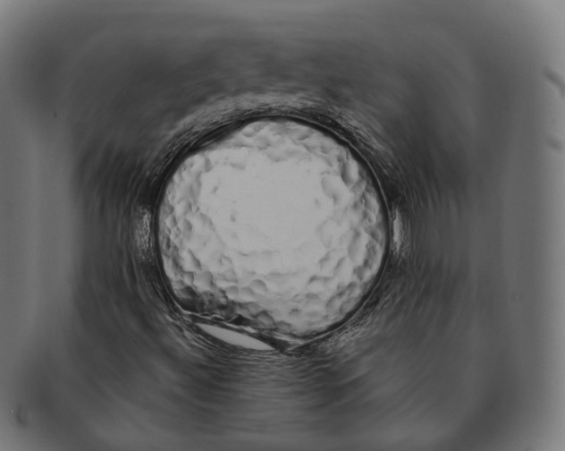 X0000091241492200709061529