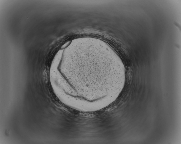 X0000091241493200709061529