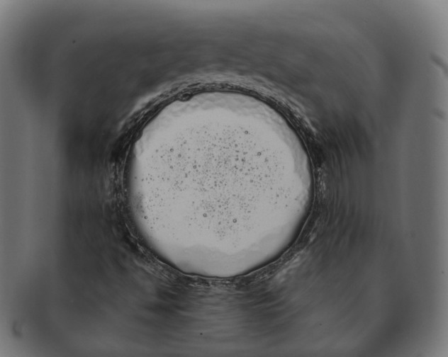 X0000091241494200709061529